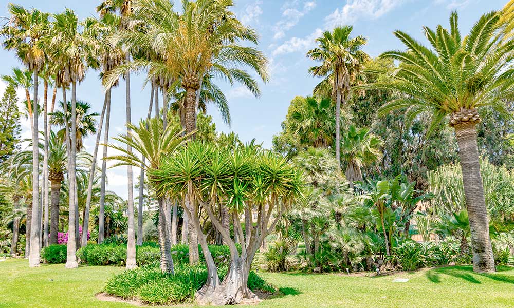 Marbella parks