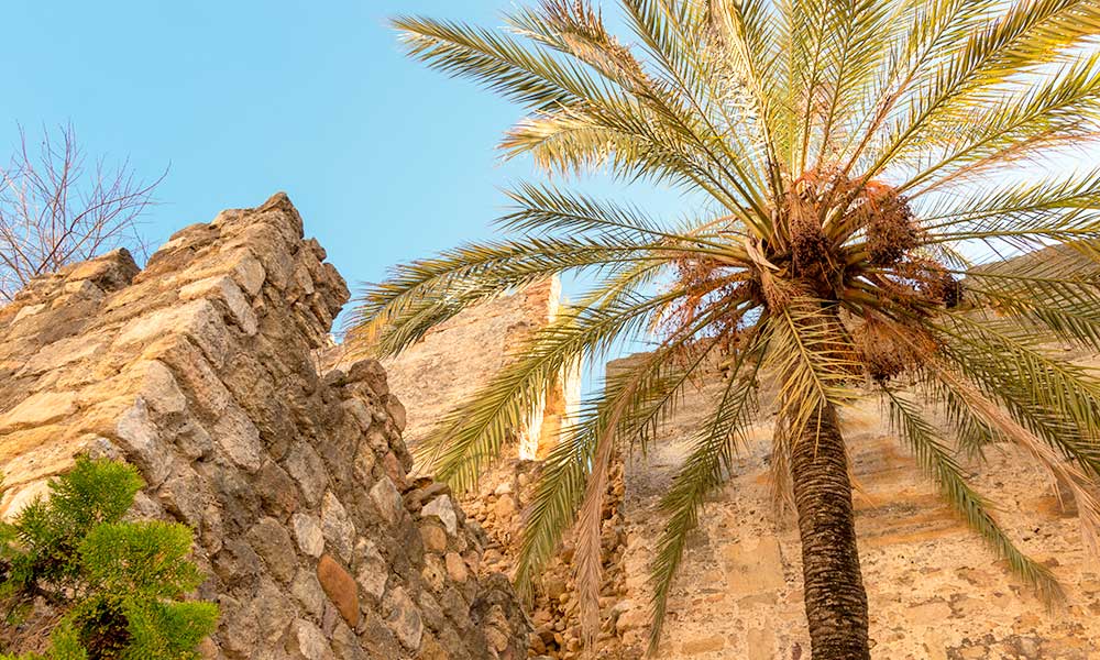 Marbella Alcazaba and walls