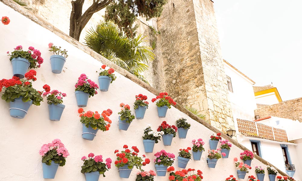 Casco Antiguo Marbella - flores