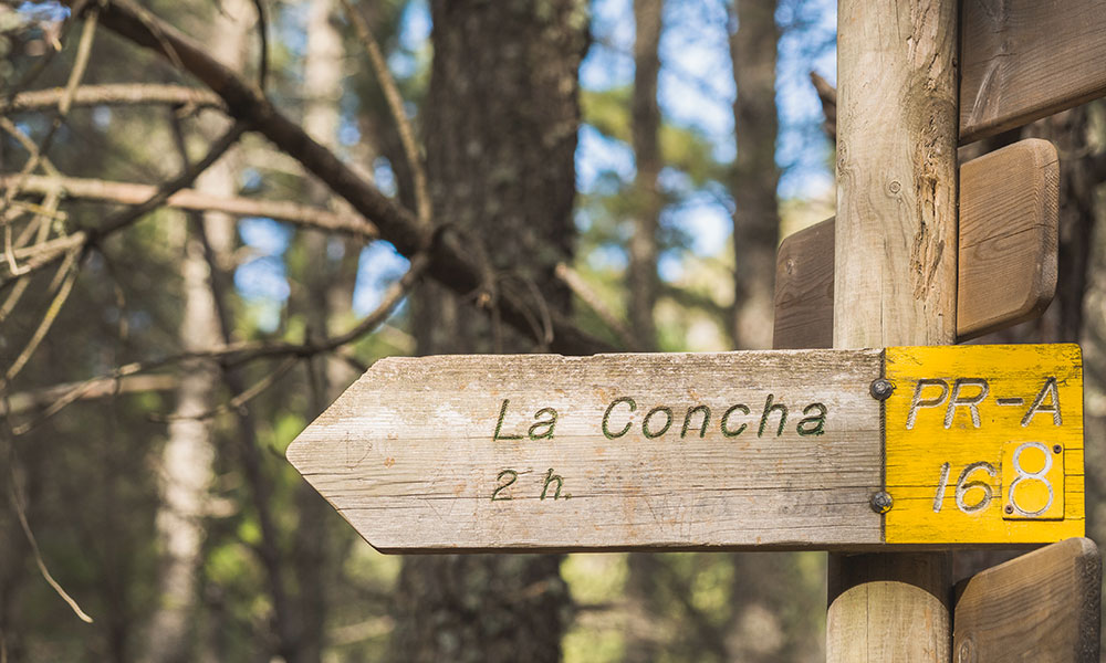 Senderismo Marbella - La Concha cartel
