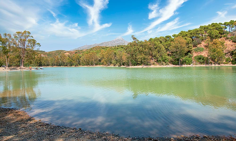 Lago de las tortugas Marbella