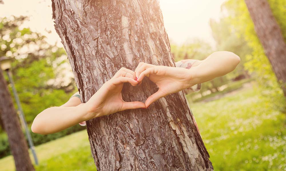 experiencias alternativas de bienestar en Ibiza