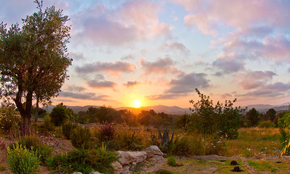 turismo regenerativo