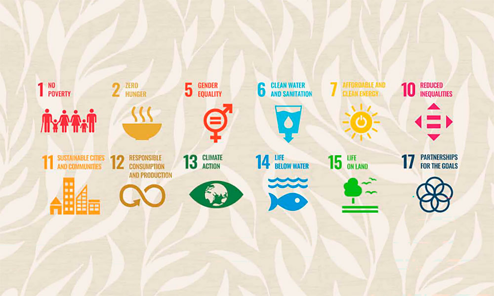 Hotels Efficiency and Sustainability