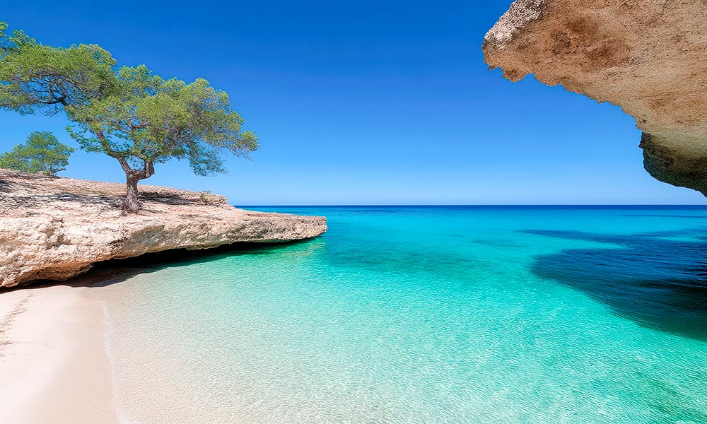 Sustainability tourism trends in Ibiza