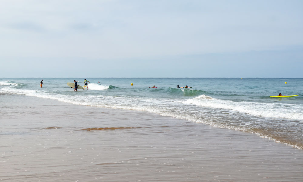 Clases de surf o paddle surf playa la Barrosa