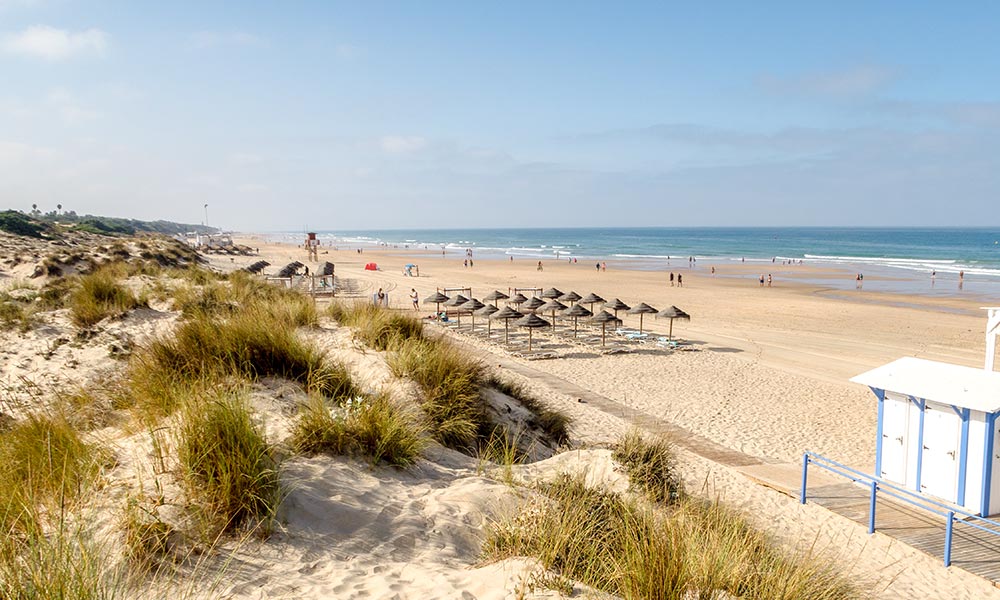 Playa de la Barrosa dunas