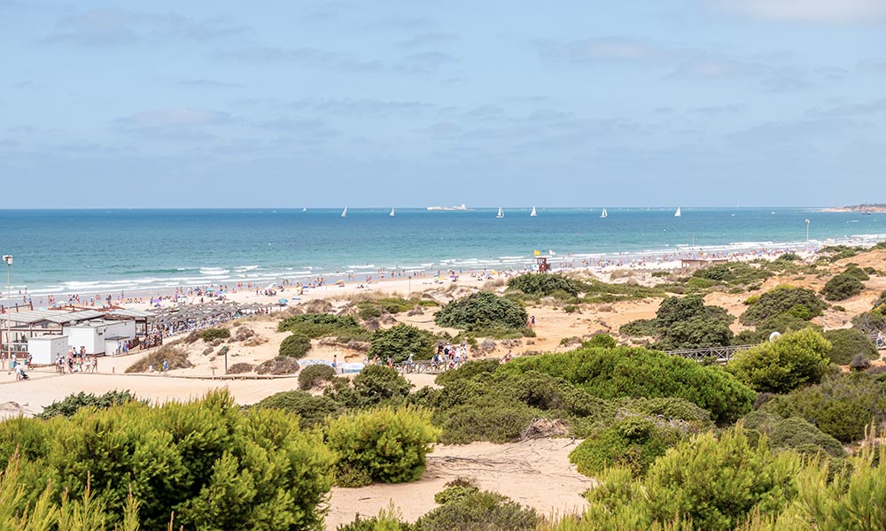 Playa de la Barrosa verano